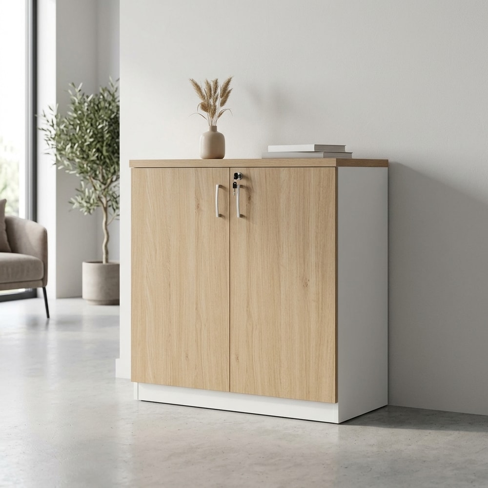 Armario bajo multiusos con puertas y cerradura