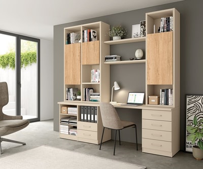 Conjunto de Escritorio y Librería Juvenil Modular