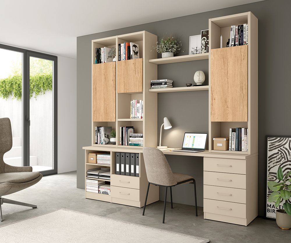 Conjunto de Escritorio y Librería Juvenil Modular